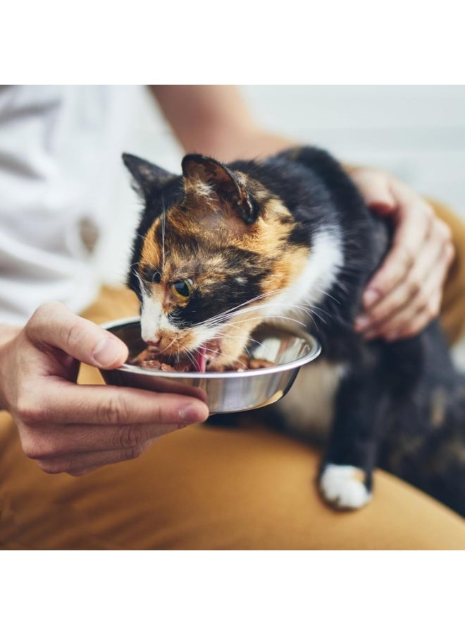jaexest 4-Pack Stainless Steel Cat Bowls, 5.5 Inch Shallow Dishes for Small & Medium Cats, Durable Metal Pet Bowls for Wet Food, Dry Food & Water, Easy Clean Indoor Feeding Bowls - Image 4